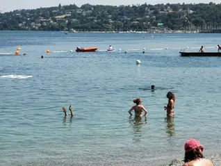 Пальцы ног становятся неожиданным индикатором качества воды