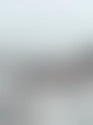 Муравьи могут проводить сородичам хирургические операции