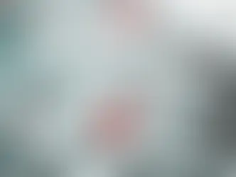 Какая погода ждёт Швейцарию на Новый год: мороз, солнце и немного сюрпризов