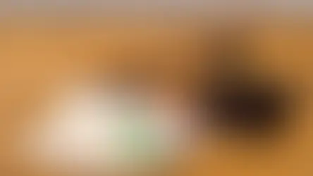 Швейцария вернула семье бизнесмена 670 млн долларов после 20 лет расследования