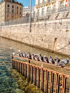 Рекордная температура января установлена в Женеве