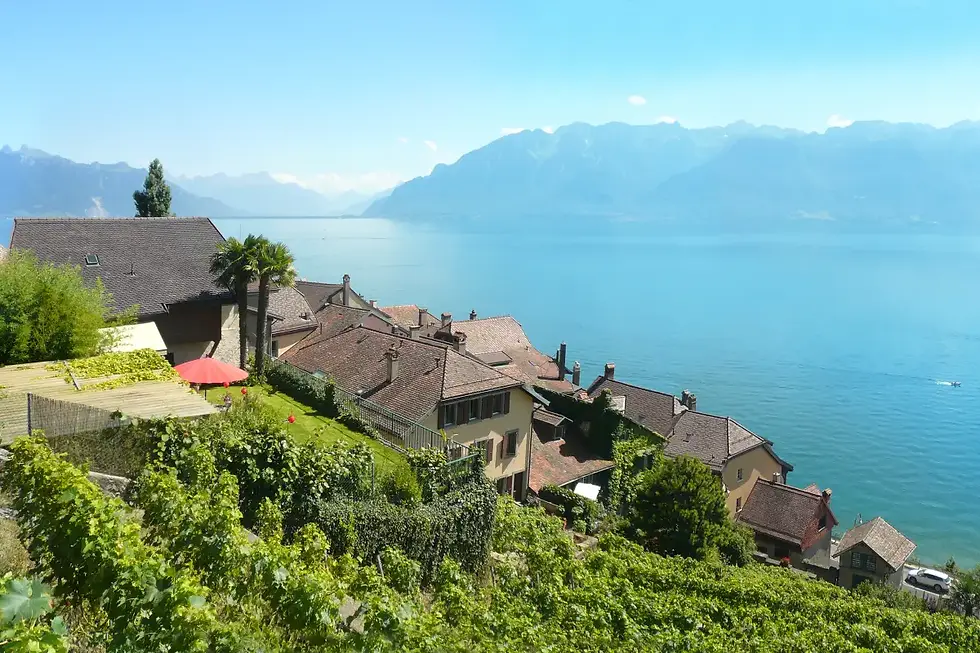 Дом дю Буриньон // lausanne