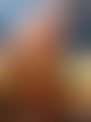 Национальный совет против строительства новых атомных станций