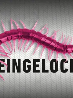 Криминальный фестиваль в Бургдорфе 