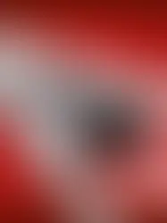 Швейцарский народ и кантоны решительно отвергли реформу LPP 