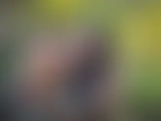 Холистическое здоровье: зачем это нужно?