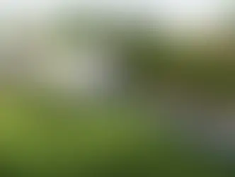 В Швейцарии собираются проложить солнечные панели между железнодорожными рельсами