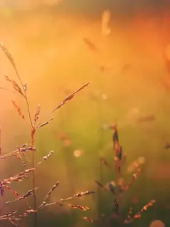 Жара в Швейцарии: как кантоны борются с тепловой волной и что нужно знать каждому