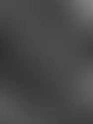 Федеральный совет вновь заявил о намерении запретить нацистскую символику