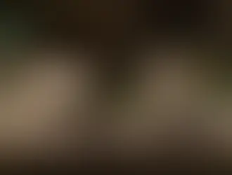 Деньги за мышиные хвосты – старая швейцарская традиция. Как она появилась, почему почти исчезла и где за хвост платят до сих пор.