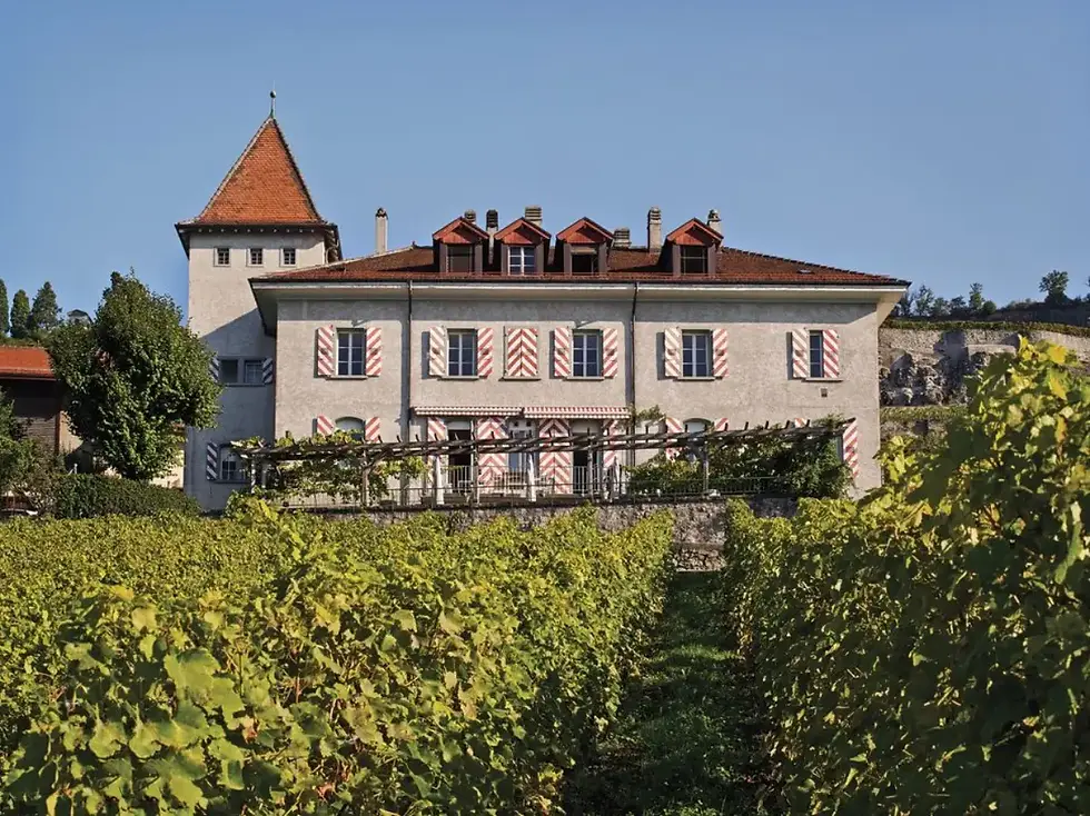 Дом дю Буриньон // lausanne