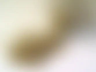 Чай из фенхеля при грудном вскармливании больше не рекомендуется