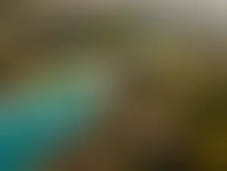 Пляжный фестиваль в Шпице