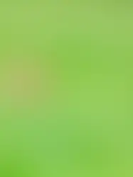 История про мяч и два судебных разбирательства