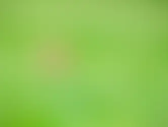 История про мяч и два судебных разбирательства