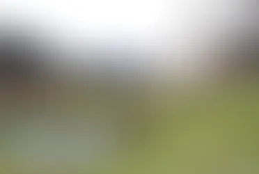 Духовное путешествие по православным монастырям Швейцарии