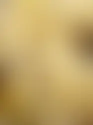 Мягкая зима спровоцировала более раннее начало весны