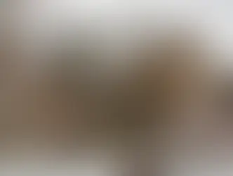 Морозные выходные и снег на равнинах ожидается в Швейцарии