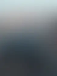 Большой совет Женевы закрепил ограничение скорости транспорта в городе