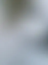 В Берне могут запретить в нерабочее время парковаться на стоянках федеральной администрации