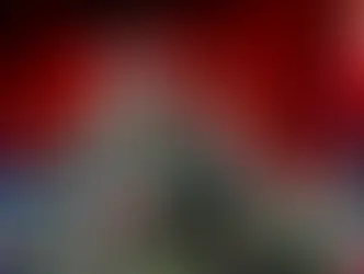 Фестиваль оркестров и шоу-формаций Basel Tattoo в Базеле