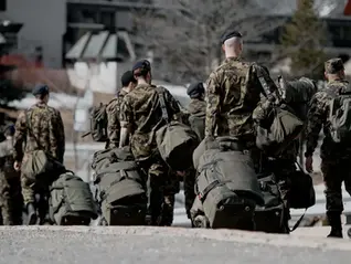 Blick: Швейцарские «зелёные» предложили отправить солдат на Украину