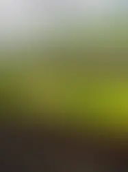 В Швейцарии скоро появятся недорогие поезда