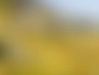 Пять осенних прогулок по кантону Во