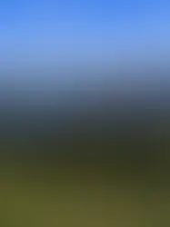 Кандидаты в президенты МОК представили свои программы в Лозанне