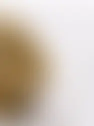 Швейцарская экономика готовится к эффекту бумеранга