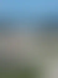 Иностранные студенты покидают EPFL