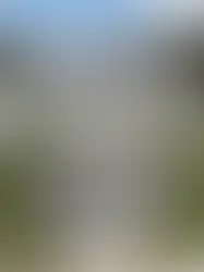 Выставка «Швейцарские замки XVII века» в Фельдбруннен-Шт.Никлаус 