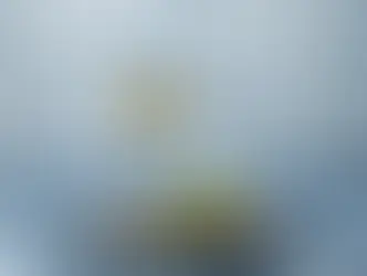 Какие вина содержат меньше калорий?