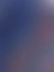 Стажировка «Плиссированная юбка MIAO» в Женеве 