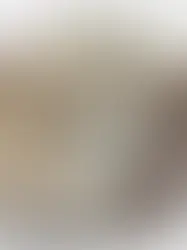 Художественная выставка  Ascoltare lo spazio / In den Raum hören в Берне 