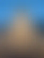 Федеральный совет не хочет иметь ничего общего с налогом на роскошь