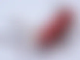 Victorinox будет выпускать швейцарские армейские ножи без лезвий