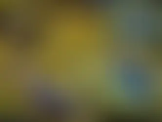 Полезна ли консервированная рыба на самом деле