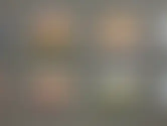 Ежегодная кантональная художественная выставка в Золотурне