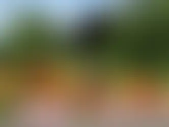 Прогулка по «часовой» Женеве