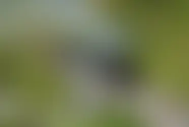 Прогулки на старинных поездах по Швейцарии