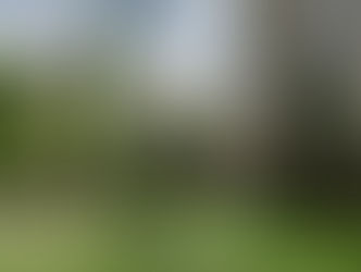 Цены на дома падают, цены на квартиры растут