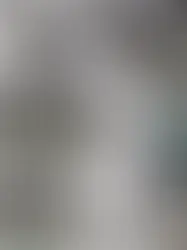 Выселение угрожает ещё одному дому в Женеве