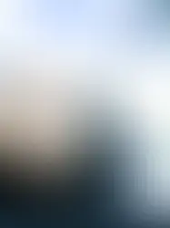 Неизвестная Швейцария: Четыре истории самых дорогих продаж швейцарских аукционов