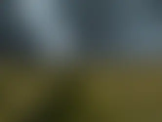 В выходные опять ожидаются дожди и грозы