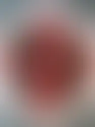 Шведы и бельгийцы предлагают съесть новогодние ёлки