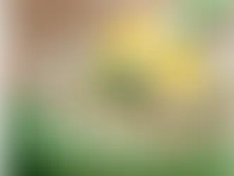 Овсяные традиции Граубюндена: от каши до запеканки