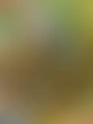 В Швейцарии требуют закрепить использование наличных в Конституции