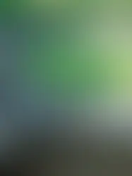 Исторический фестиваль в парке Виндонисса