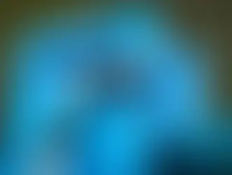 Как избавиться от нашествия муравьёв в доме